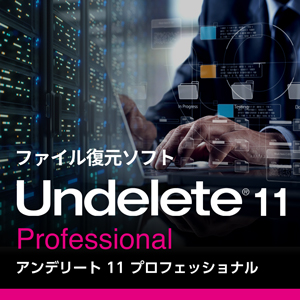 Undelete11 Professional