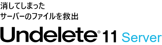Undelete11 Server